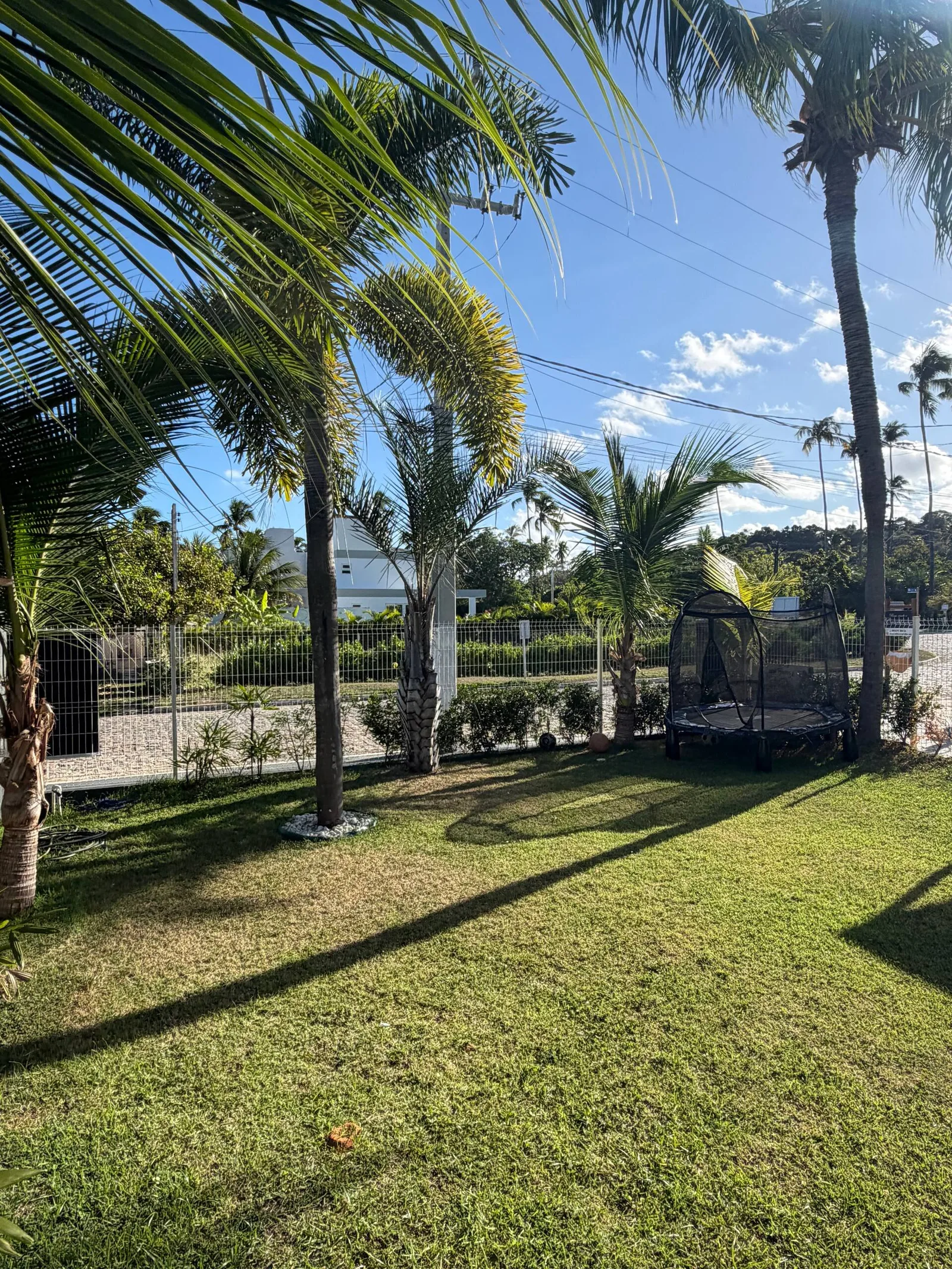 Jardim gramado ao lado da casa, cercado por coqueiros